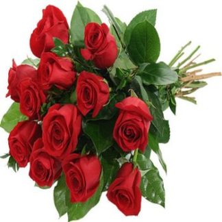 12 Red Roses